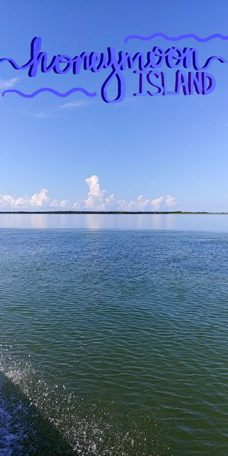 Honeymoon Island BlackHägen Design