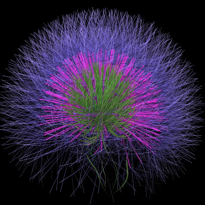 3d Fractal flower blooming